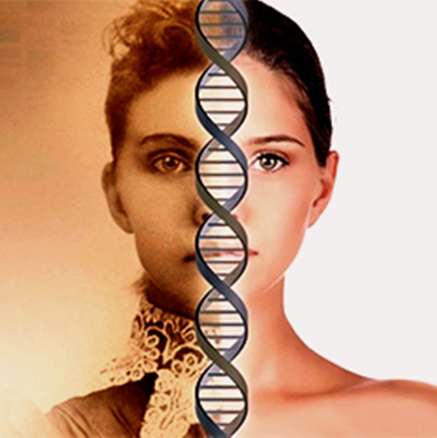 The Most Authentic Lineage Analyses? DNA Genealogy! | ArticleCube