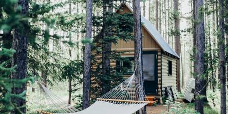 Your Guide to Choosing the Best Cabin Rental Agency for an Unforgettable Stay