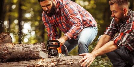 battery chainsaw