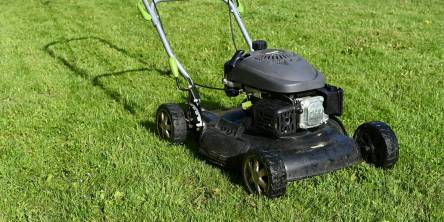 Mower for garden