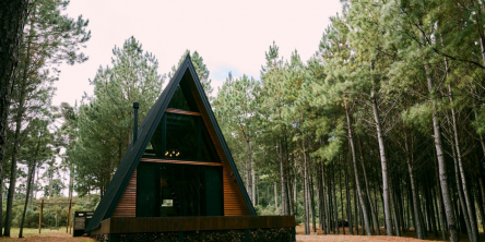 Triangle tiny home