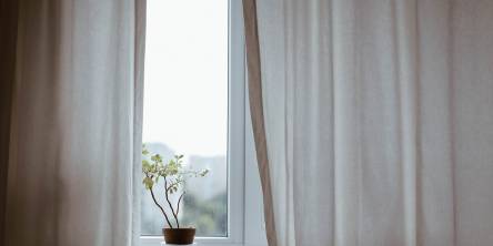 Window curtain