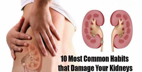 kidneys habits damage common articlecube