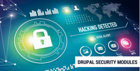 drupal security kit