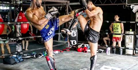 Muay thai 2024 training gear