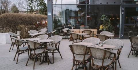 Restaurant Chairs