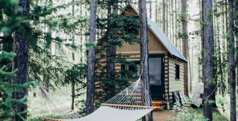 Your Guide to Choosing the Best Cabin Rental Agency for an Unforgettable Stay