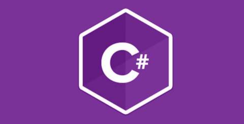 c# development company