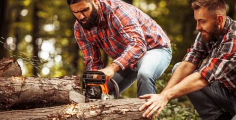 battery chainsaw